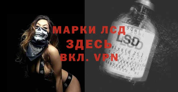 гашик Корсаков