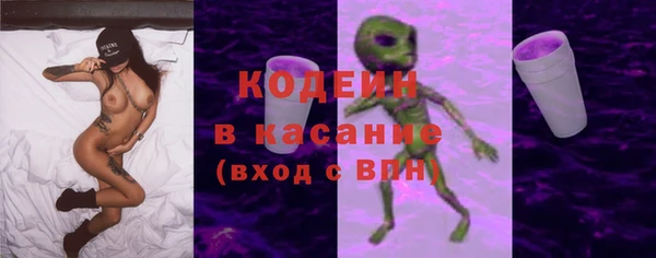 гашик Корсаков