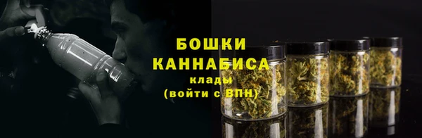 Альфа ПВП Костерёво