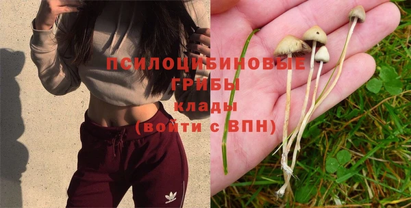 мдма Коряжма