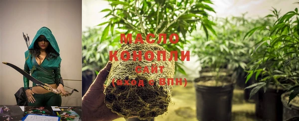 гашик Корсаков