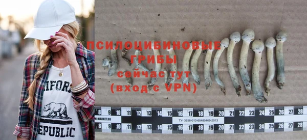Альфа ПВП Костерёво