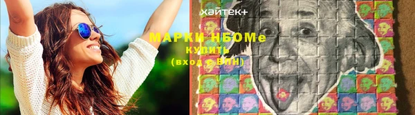 гашик Корсаков