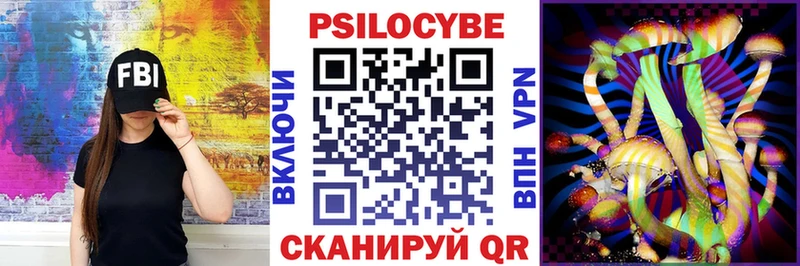 Псилоцибиновые грибы Psilocybe  Купить где  Белоусово 