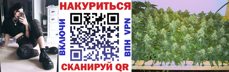 Конопля SATIVA & INDICA  Купить закладки  Белоусово 